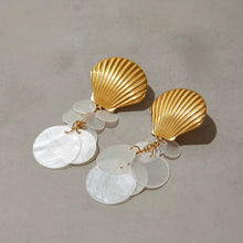Shell Stainless Steel Earrings