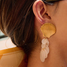 Shell Stainless Steel Earrings