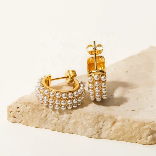 Ariana Stainless Steel Hoops Earrings