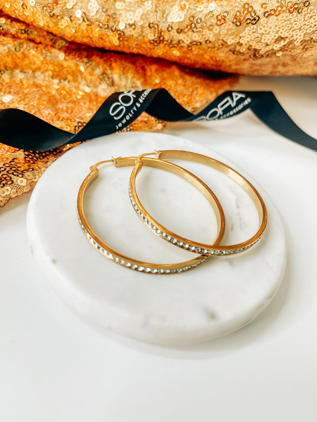 Shimmer Stainless Steel Round Hoop Errings