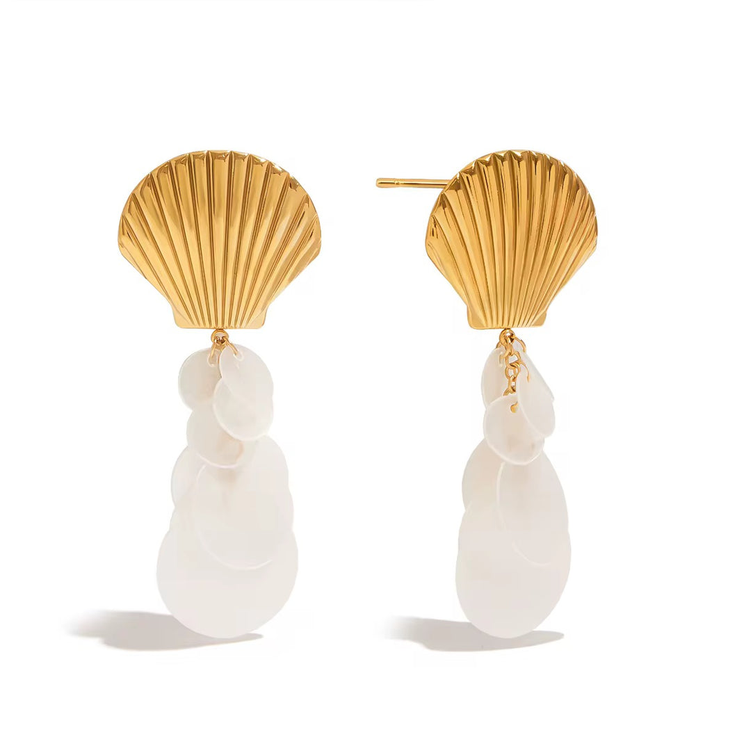 Shell Stainless Steel Earrings