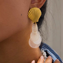 Shell Stainless Steel Earrings