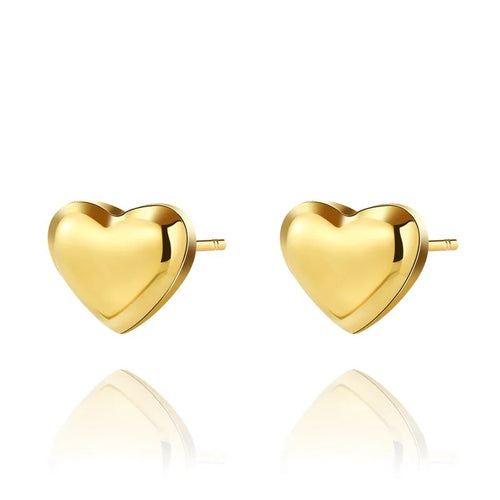 Heart Stainless Steel Earrings